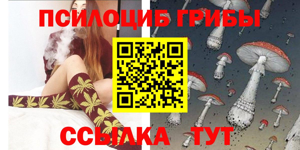 Псилоцибиновые грибы мицелий  Вход с VPN  Сорочинск 